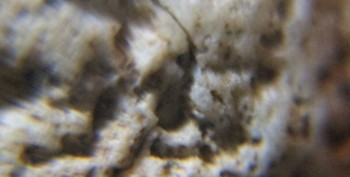 DSC07894. Древность.jpg