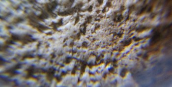 DSC07896. Древность2.jpg