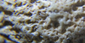 DSC07897. Древность3.jpg