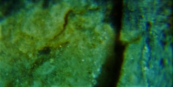 DSC07900. Древность6.jpg