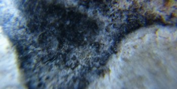 DSC07901. Древность7.jpg