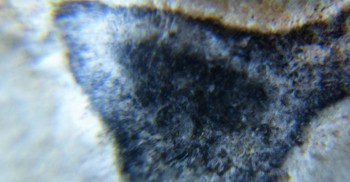 DSC07901. Древность8.jpg