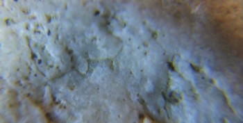 DSC07902. Древность9.jpg