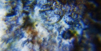 DSC07903. Древность10.jpg