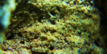 DSC07906. Древность11.jpg