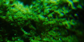 DSC07906. Древность13.jpg