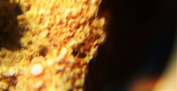 DSC07907. Древность14.jpg