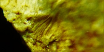 DSC07911. Древность17.jpg