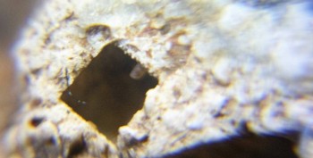 DSC07916. Древность20.jpg