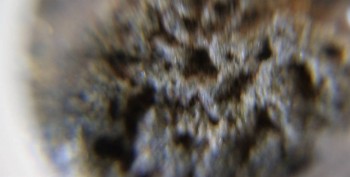 DSC08213.Схема27.jpg