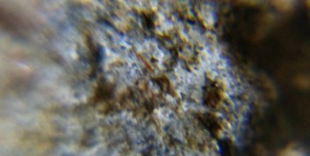 DSC08223.Схема37.jpg