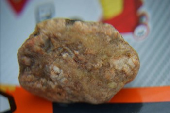 DSC08252.JPG