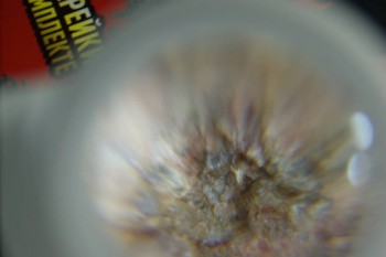 DSC08264.JPG