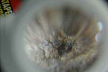 DSC08266.JPG