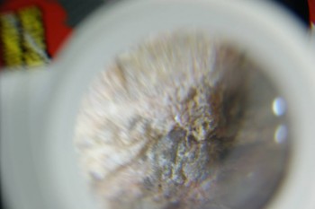 DSC08270.JPG