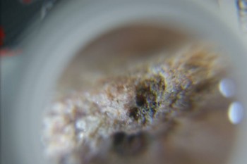 DSC08273.JPG