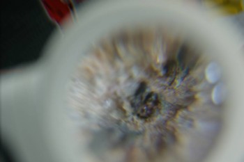 DSC08275.JPG