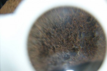 DSC08304.JPG