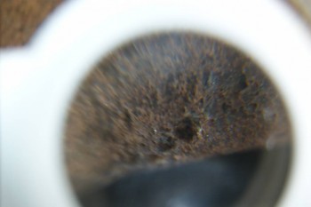 DSC08305.JPG