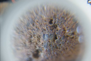 DSC08306.JPG