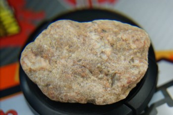 DSC08307.JPG