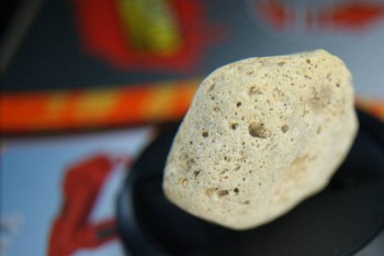 DSC08321.JPG