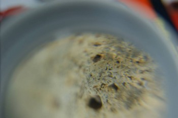 DSC08377.JPG