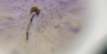 DSC07689. реальность26.jpg