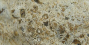 DSC07705. Зрение7.jpg