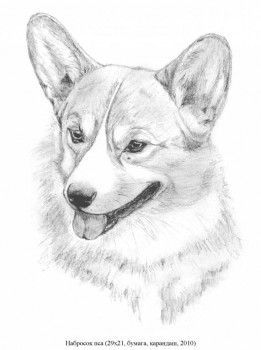 Набросок пса.jpg