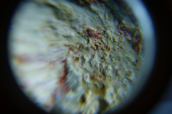 2016-05-23 19-20-34.JPG