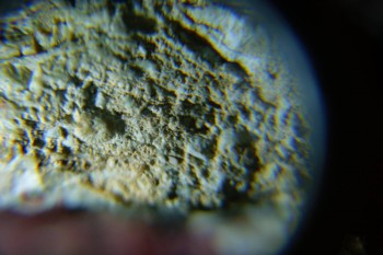 2016-05-23 19-44-18.JPG