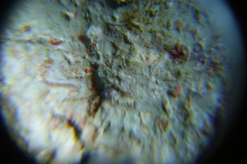 2016-05-23 19-21-12.JPG