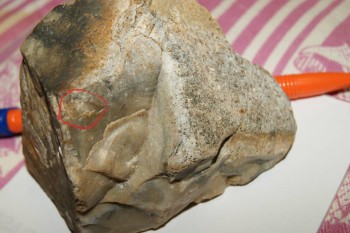 2016-05-16 19-26-32.JPG333.JPG4.JPG