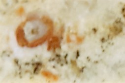 Израсцы и камни - DSC02952.силует.jpg