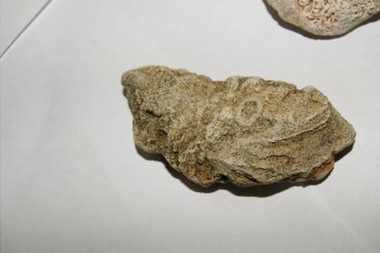 Израсцы и камни - DSC02962.JPG