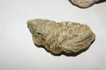 Израсцы и камни - DSC02963.JPG