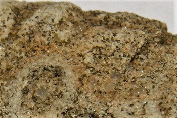 Израсцы и камни - DSC02962.рыба.jpg