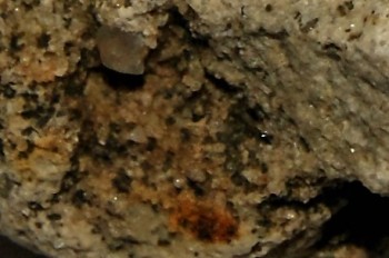 Израсцы и камни - DSC02962.рыба2.jpg