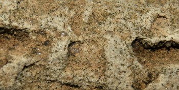 Израсцы и камни - DSC02965.рыба4.jpg