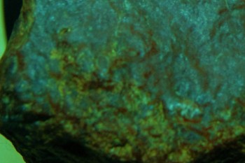 Израсцы и камни - 2016-07-28 10-44-04.значок6.jpg