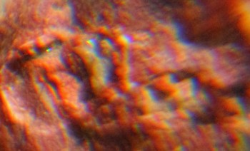 Израсцы и камни - 2016-05-25 12-42-08.Природные слепцы.jpg