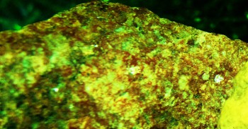 Израсцы и камни - DSC04220.3D7.jpg