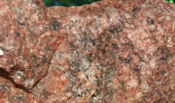 Израсцы и камни - DSC04219.3D8.jpg