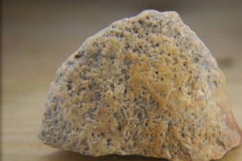 Израсцы и камни - DSC04300.JPG