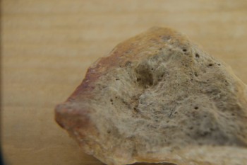 Израсцы и камни - DSC04308.JPG