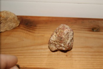 Израсцы и камни - DSC04317.JPG