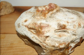 Израсцы и камни - DSC04319.JPG