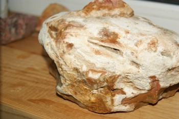 Израсцы и камни - DSC04320.JPG