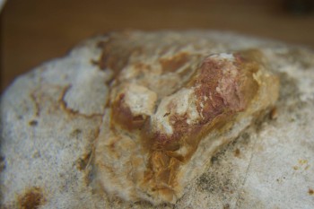 Израсцы и камни - DSC04323.JPG